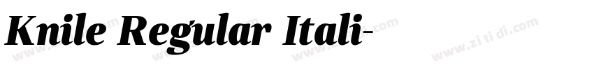 Knile Regular Itali字体转换